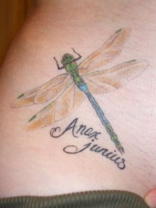 50 Dragonfly Tattoo Designs Specially For Girls – Yo Tattoo
