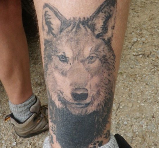 Wolf Tattoo Leg Ideas